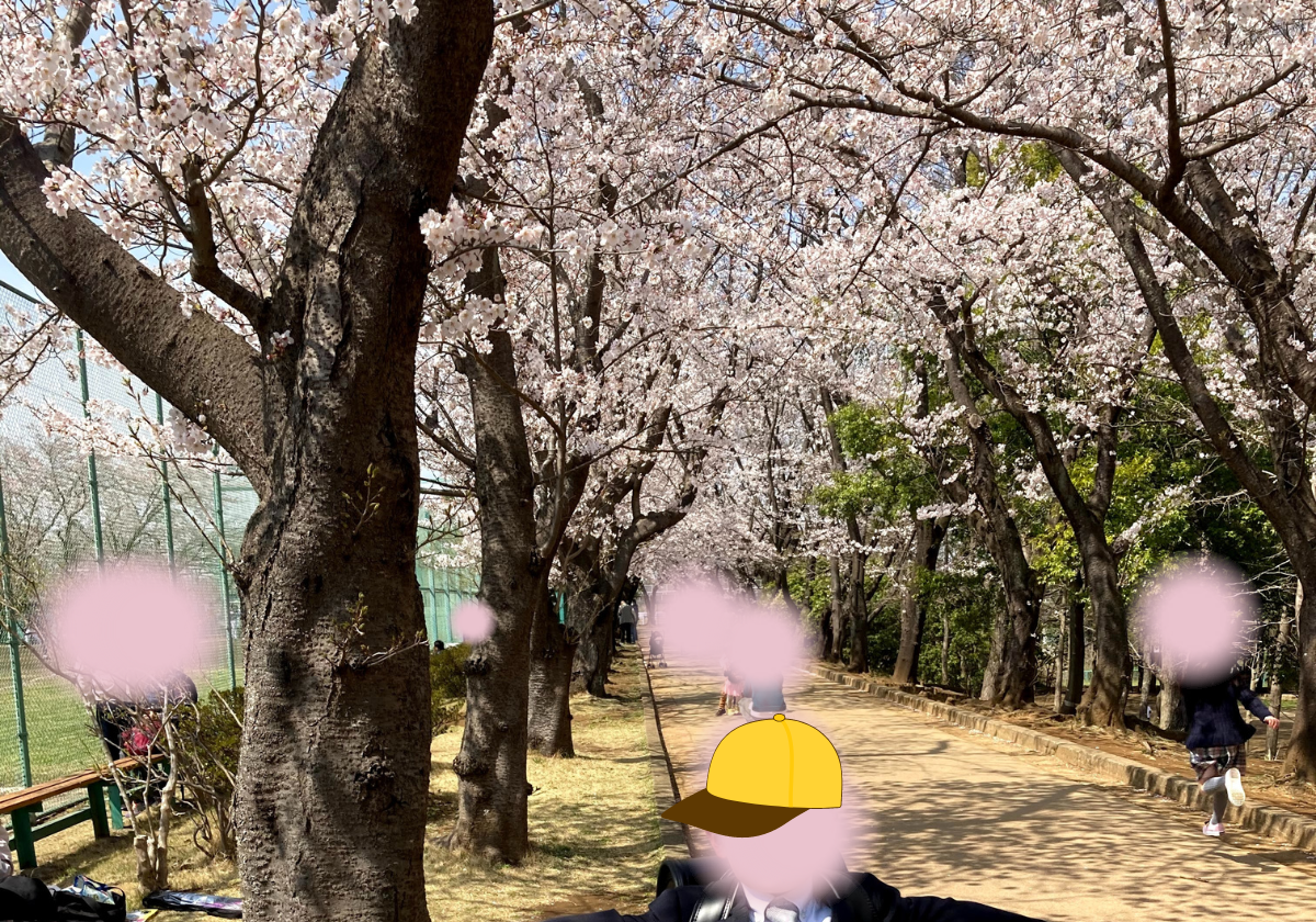 鎌ケ谷市制記念公園の桜