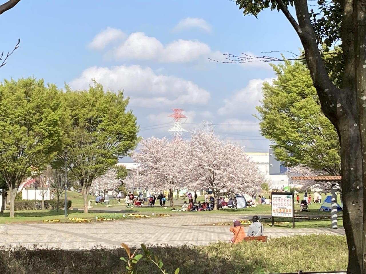 白井総合公園