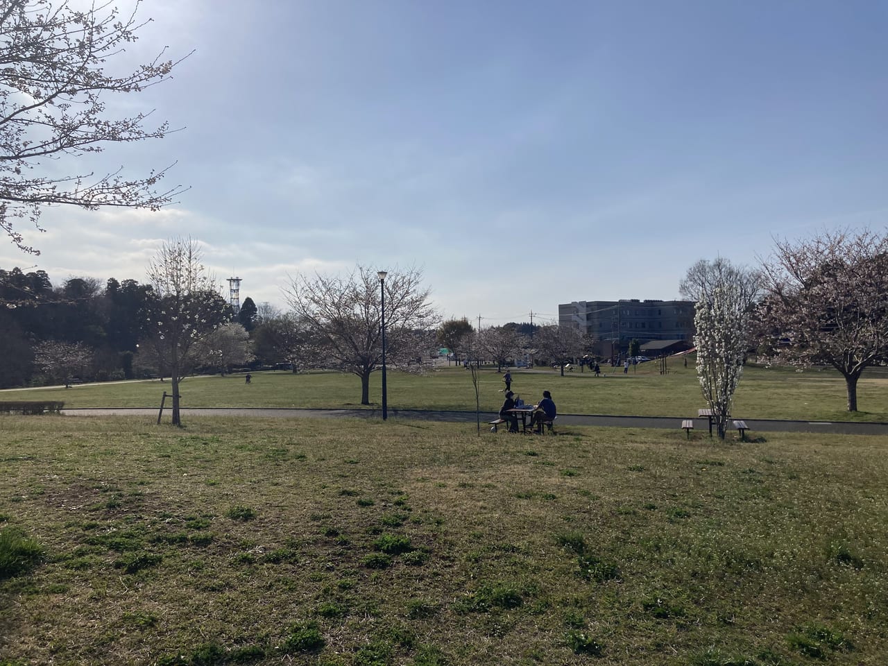 白井総合公園