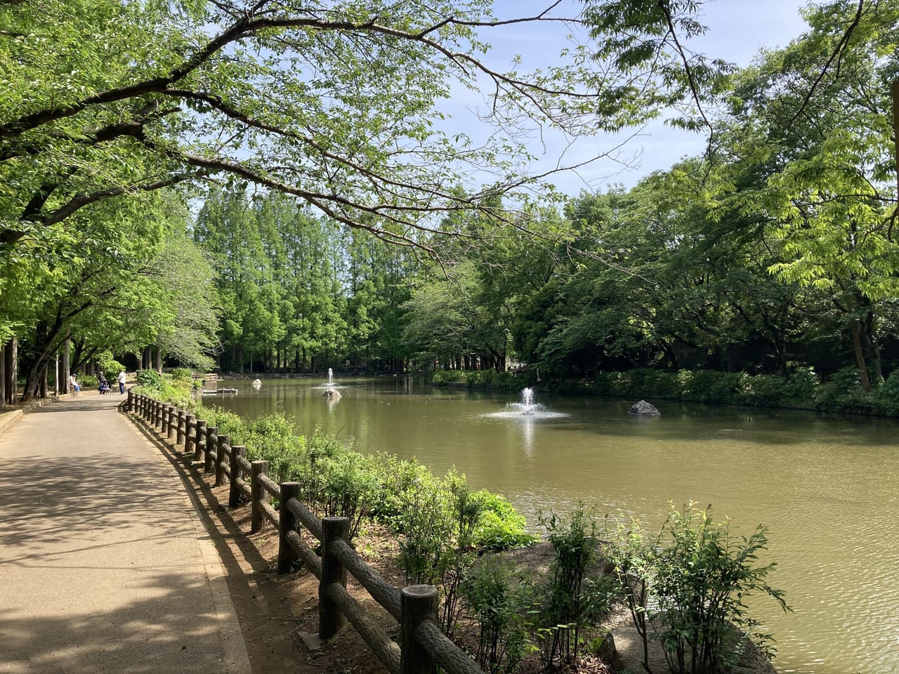 貝柄山公園園内の池
