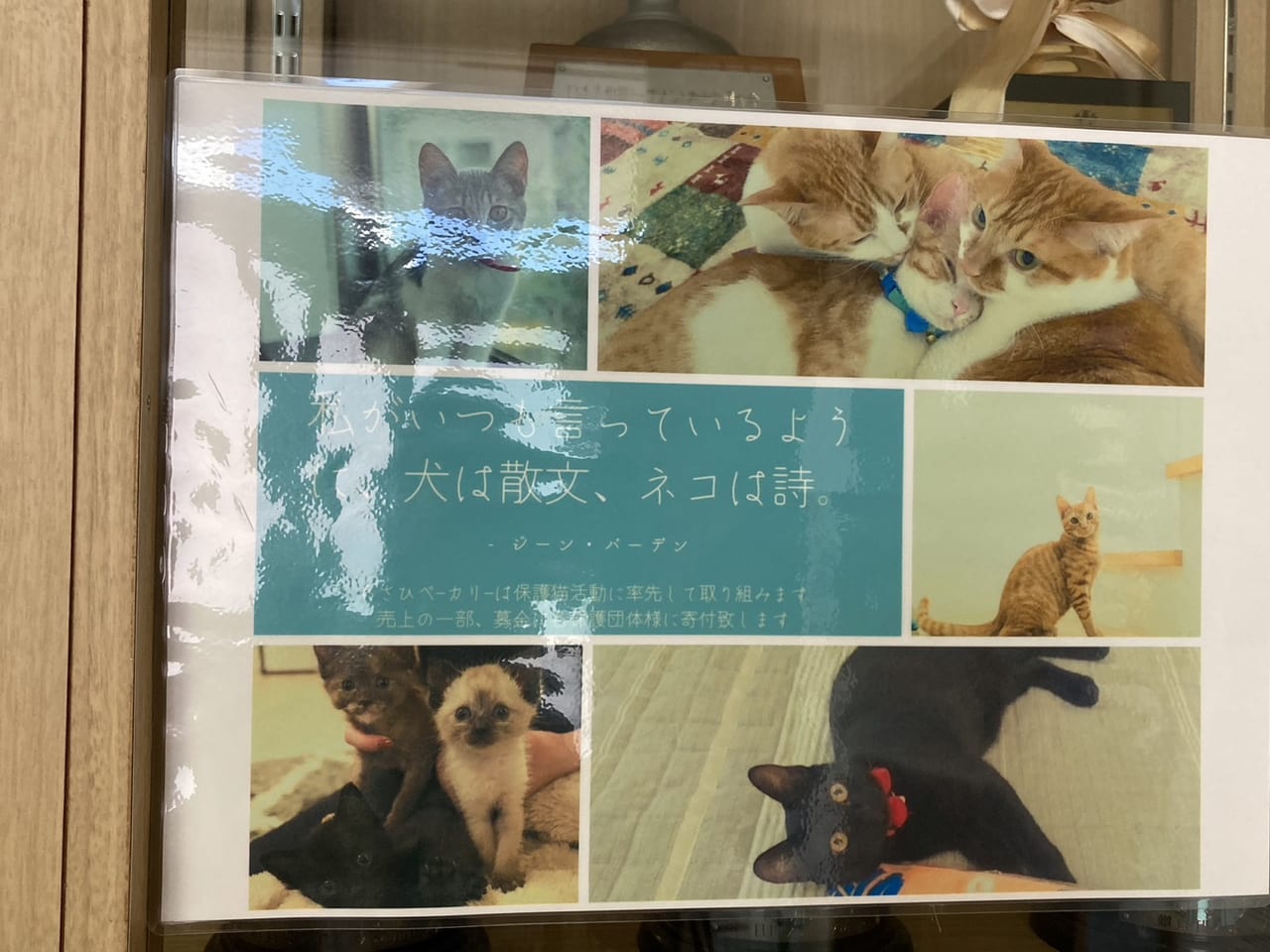 あさひベーカリーでは猫の保護や支援をされています