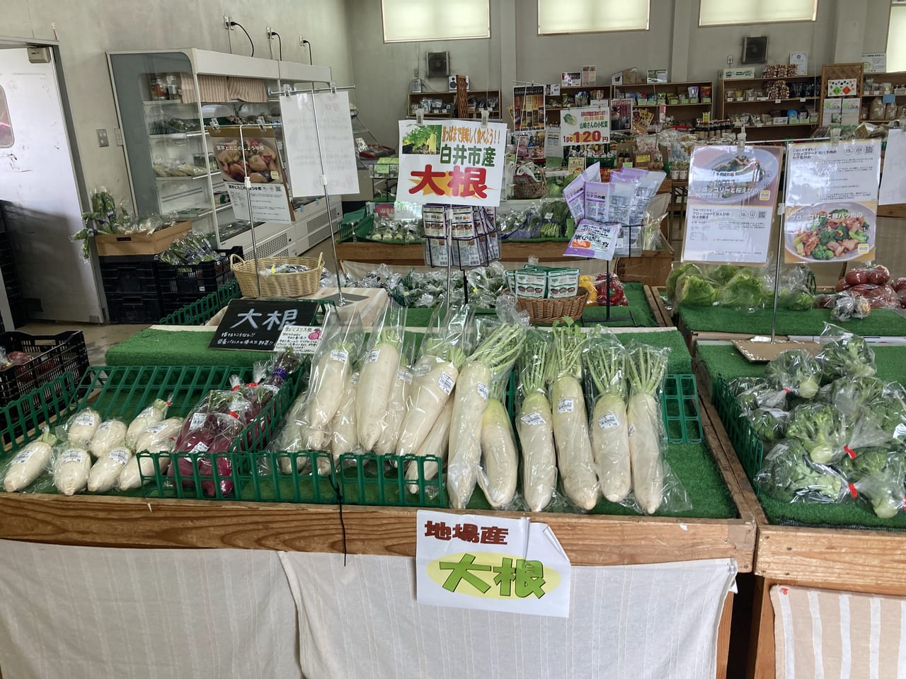 JA西印旛農産物直売所白井店のだいこん