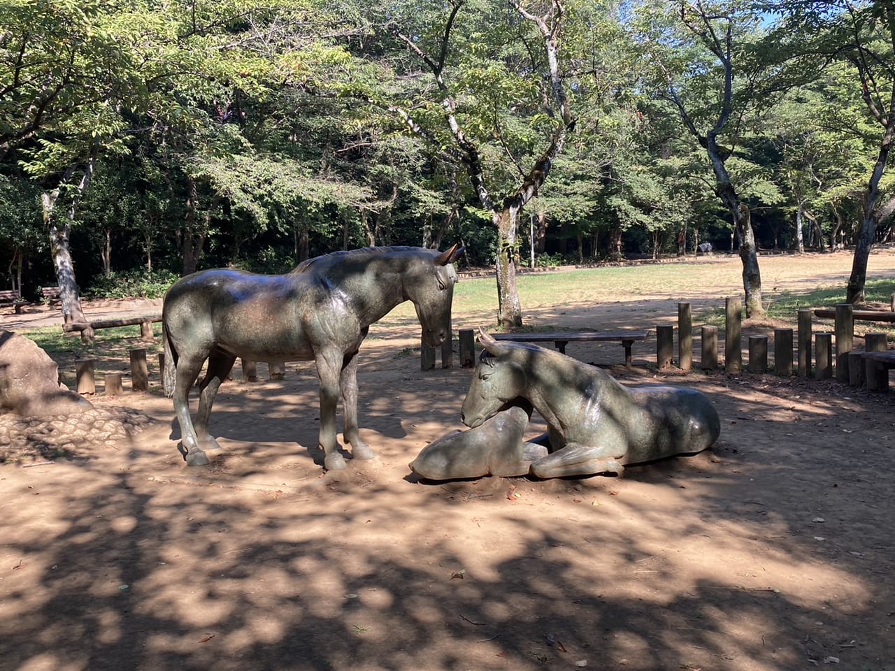 貝柄山公園　小金中野牧の野馬