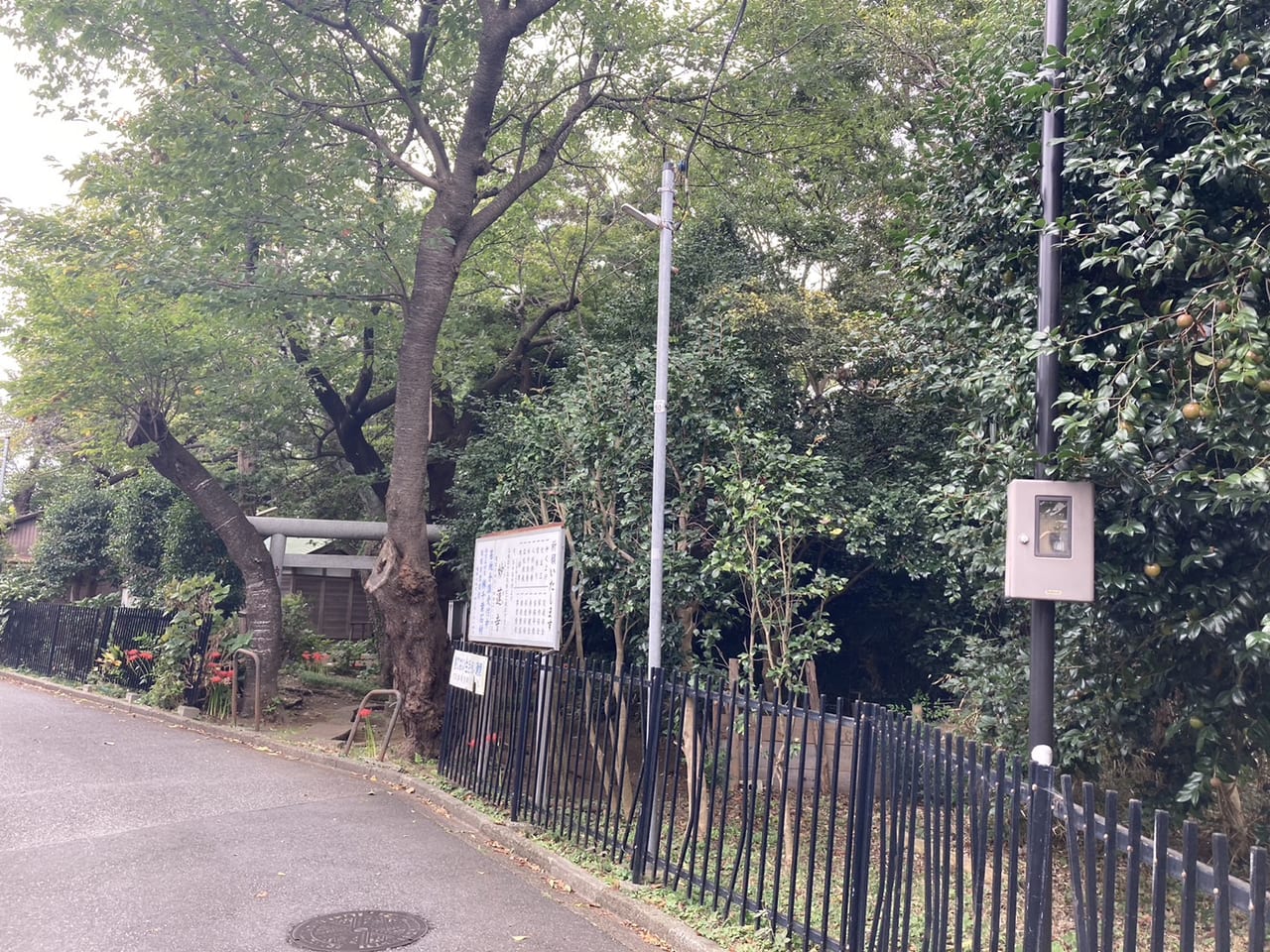 囃子水神社