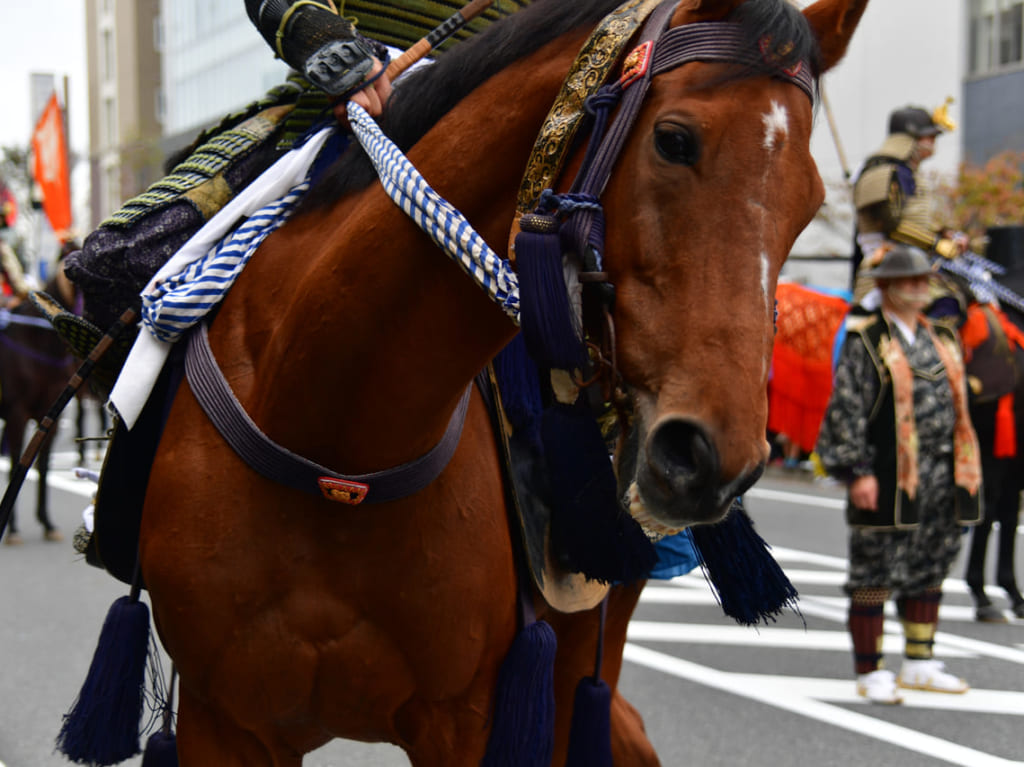 かまがや市民まつり　迫力のある馬