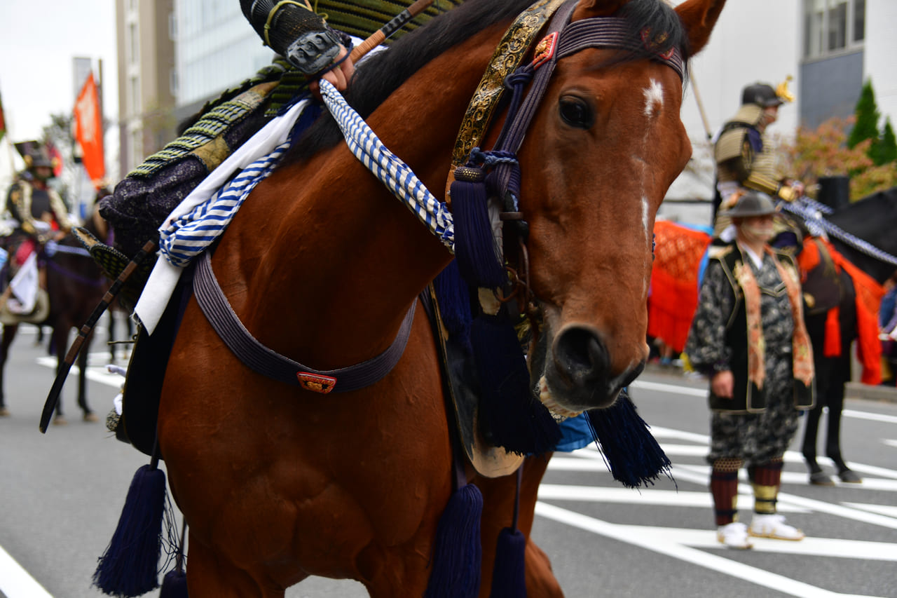 かまがや市民まつり　迫力のある馬