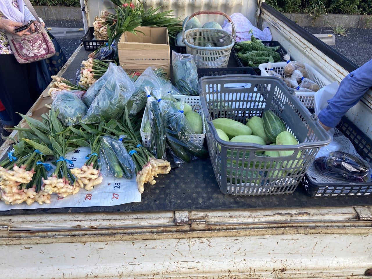 かまがや朝市トラックの荷台の野菜