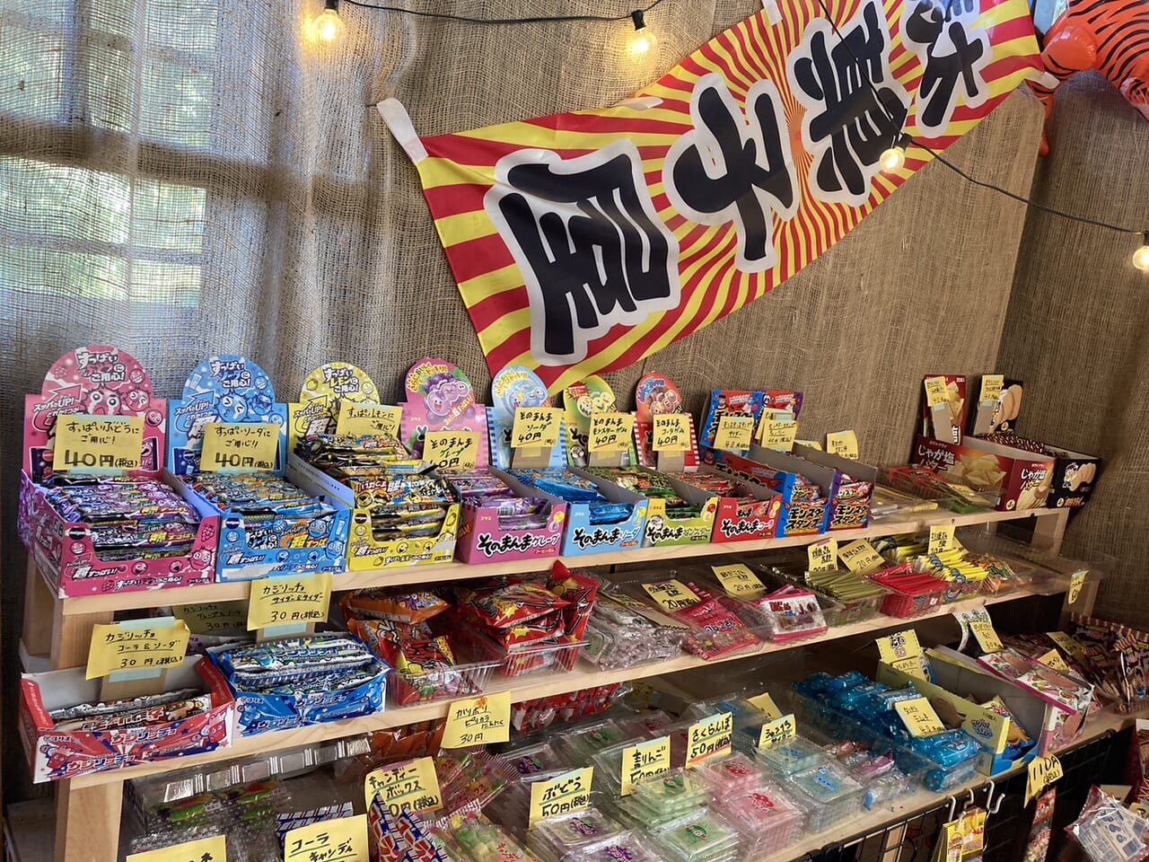 駄菓子屋あひるSHOP店内