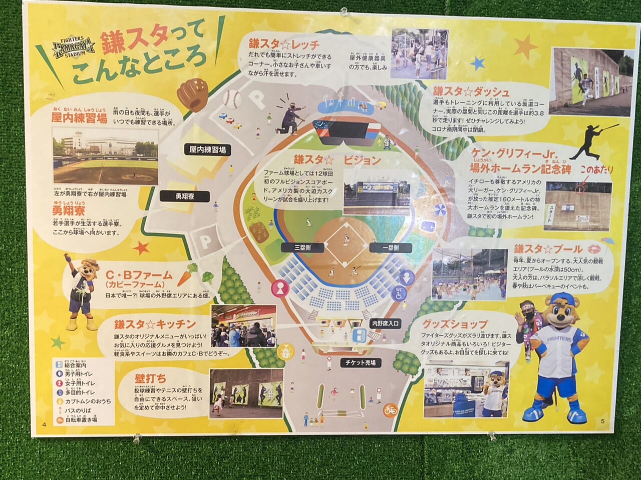 鎌ケ谷市×北海道日本ハムファイターズ合同写真展　鎌スタの紹介