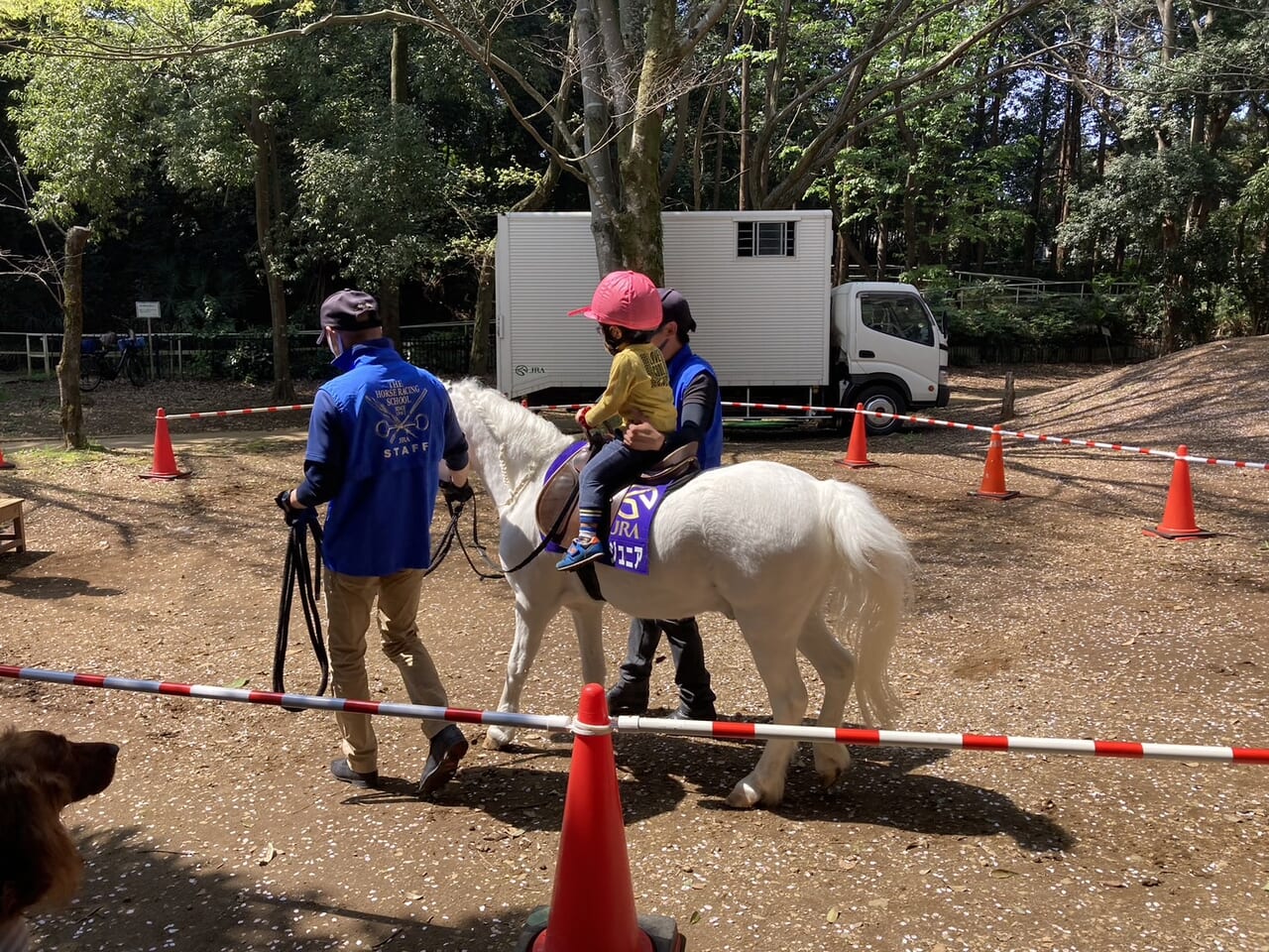 とっこめ桜まつり　乗馬体験