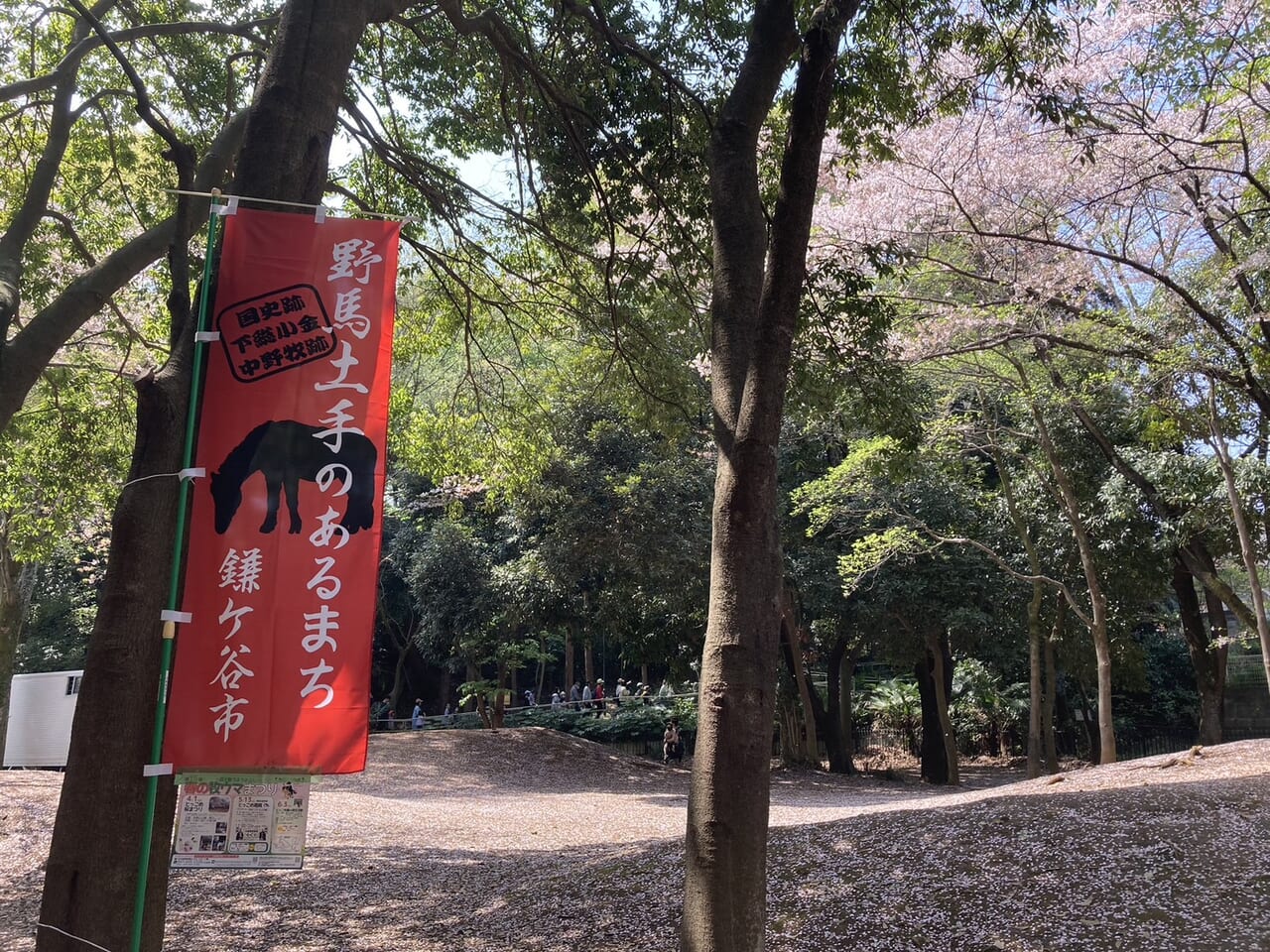 とっこめ桜まつり園内の様子