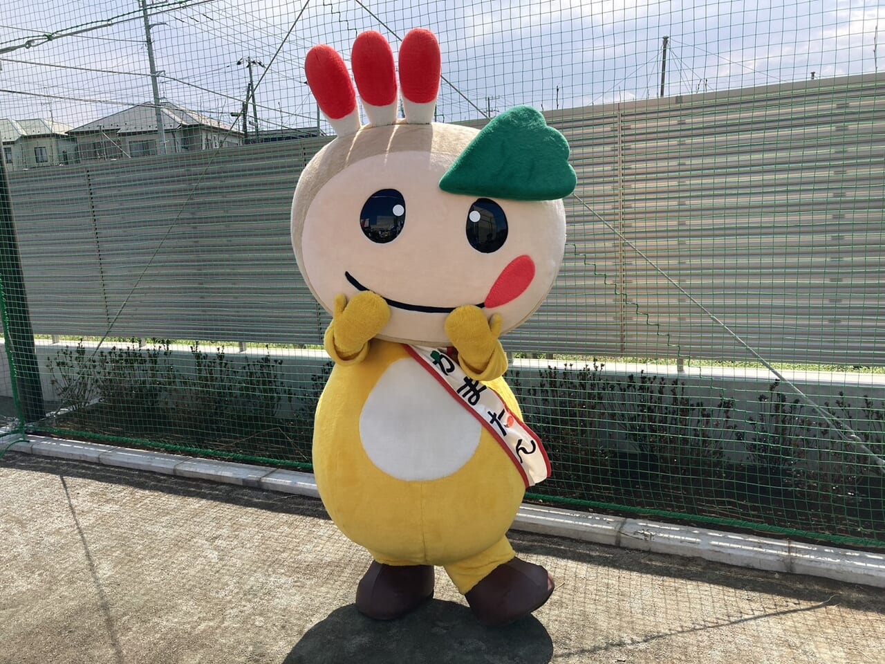 かまたん