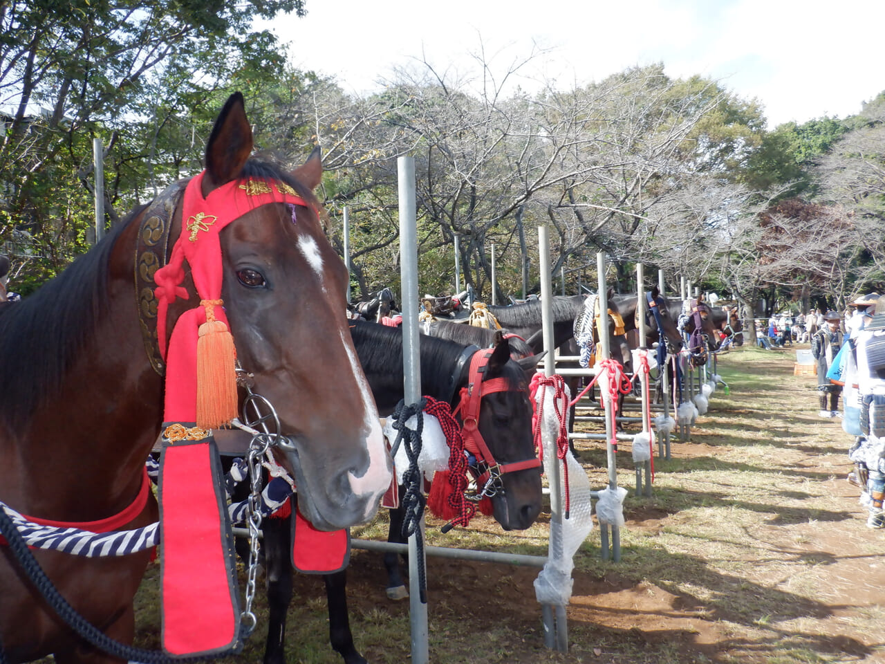 貝殻山に並ぶ馬