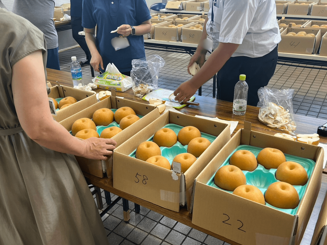 梨の食感などをチェックします