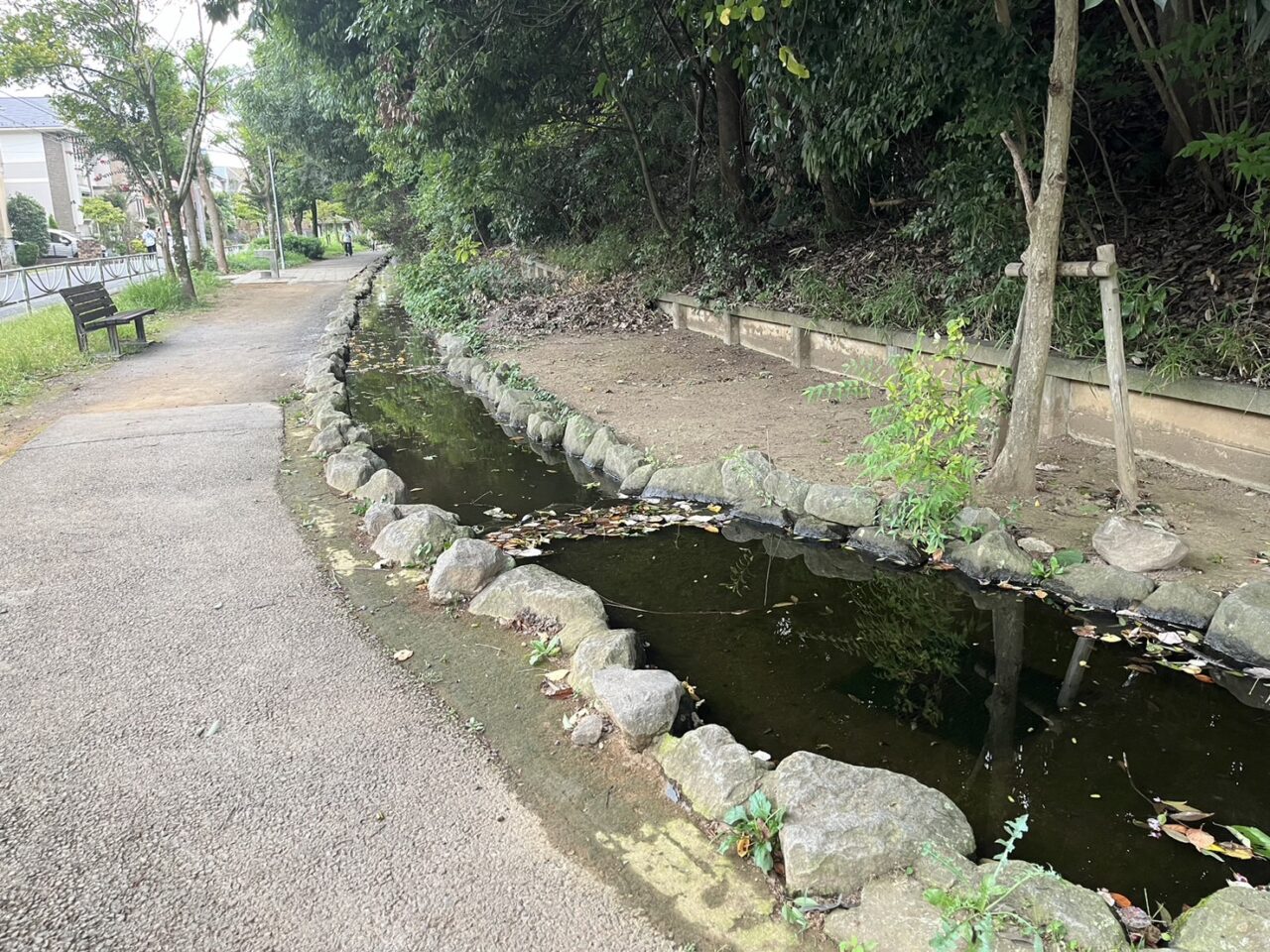 東中沢ふれあい緑道　水路