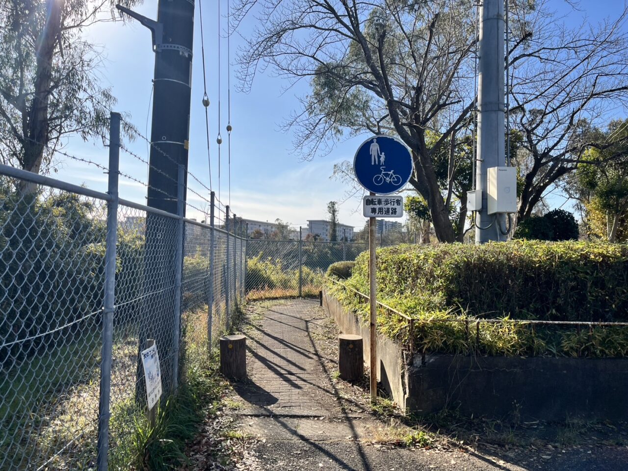 周囲の遊歩道