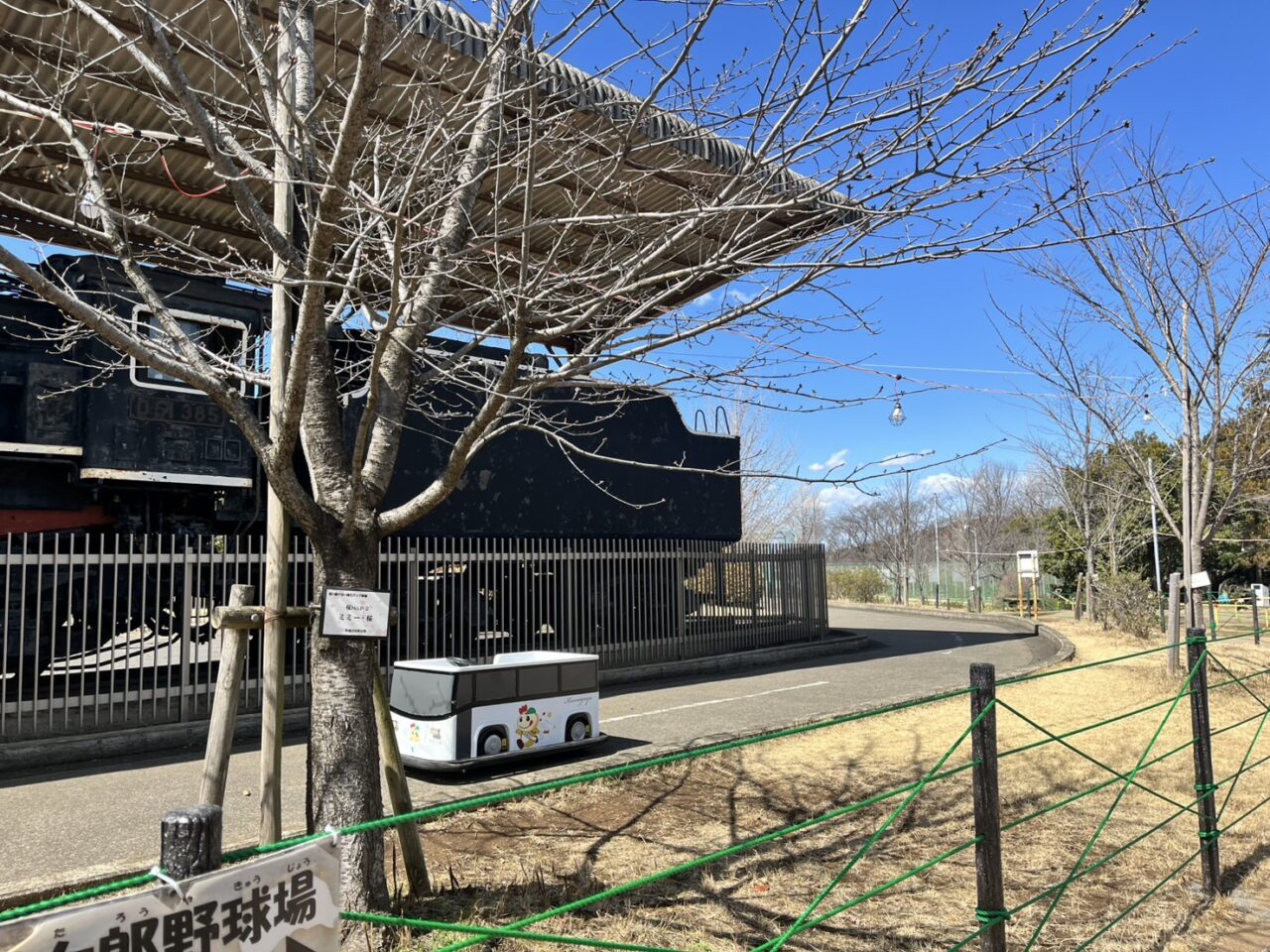3月中旬の市制記念公園