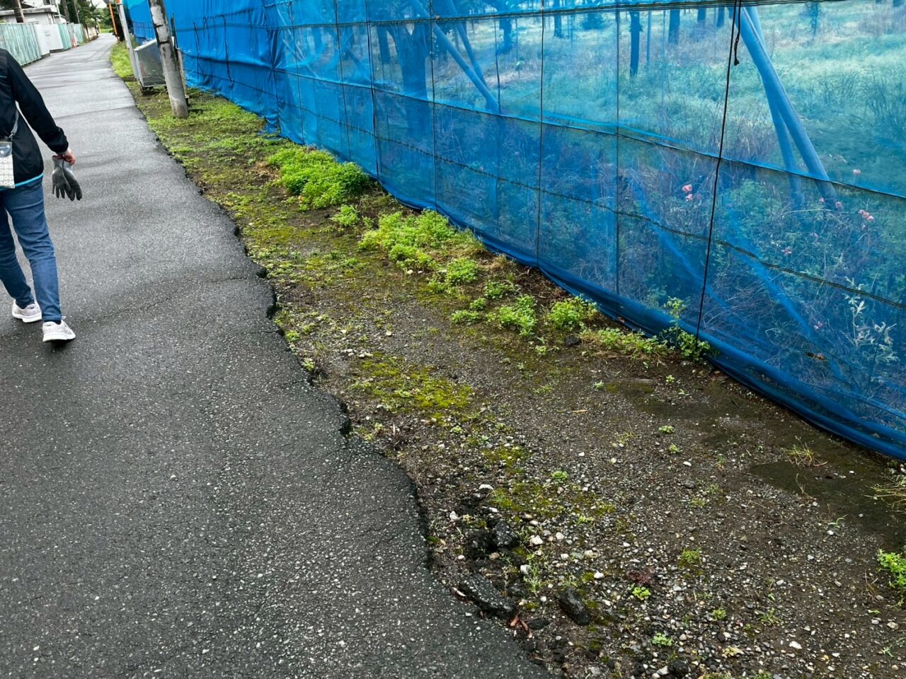 雨が上がって