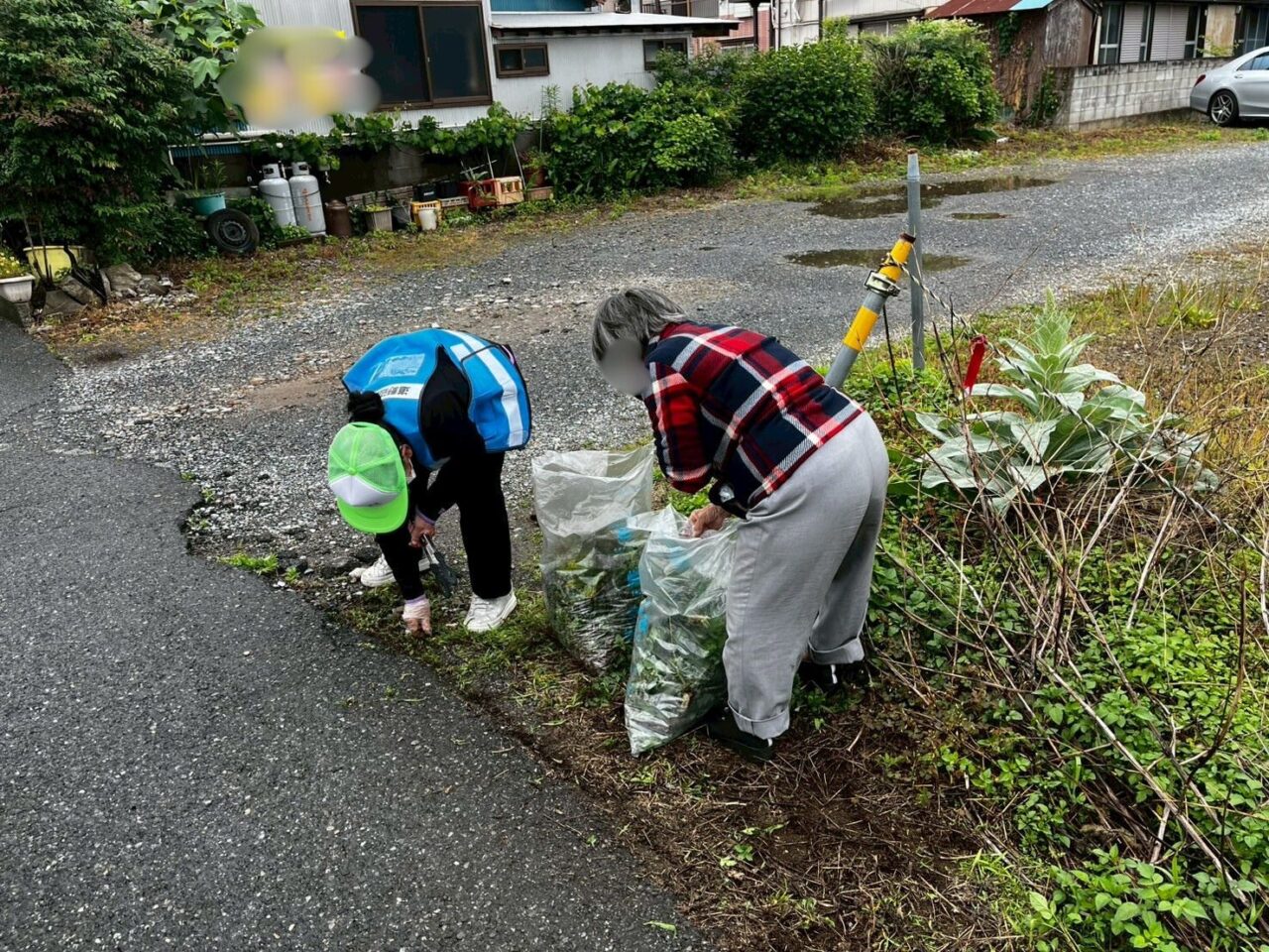 大きな植物の横で