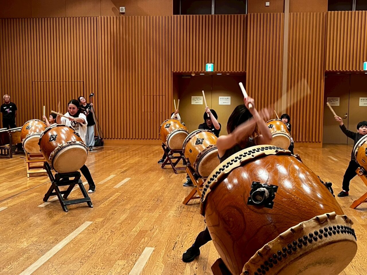 ばちの素早い動きに目がついていかない