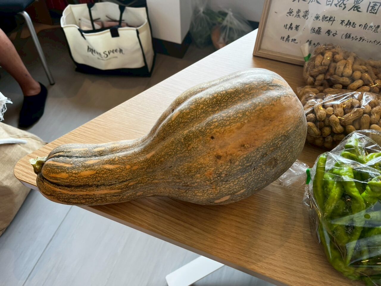 珍しい島かぼちゃ