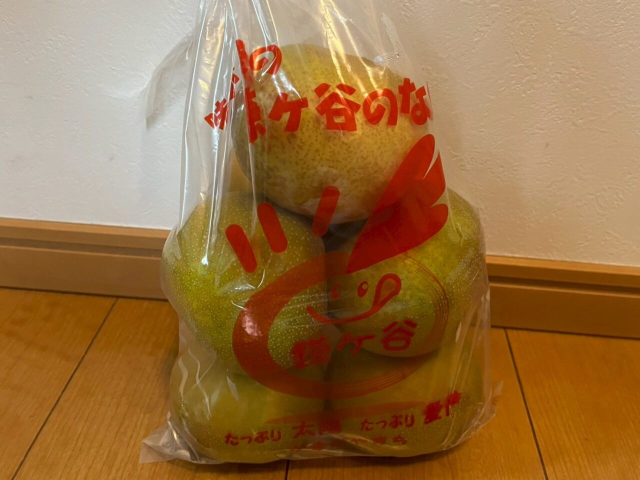 鎌ケ谷の梨