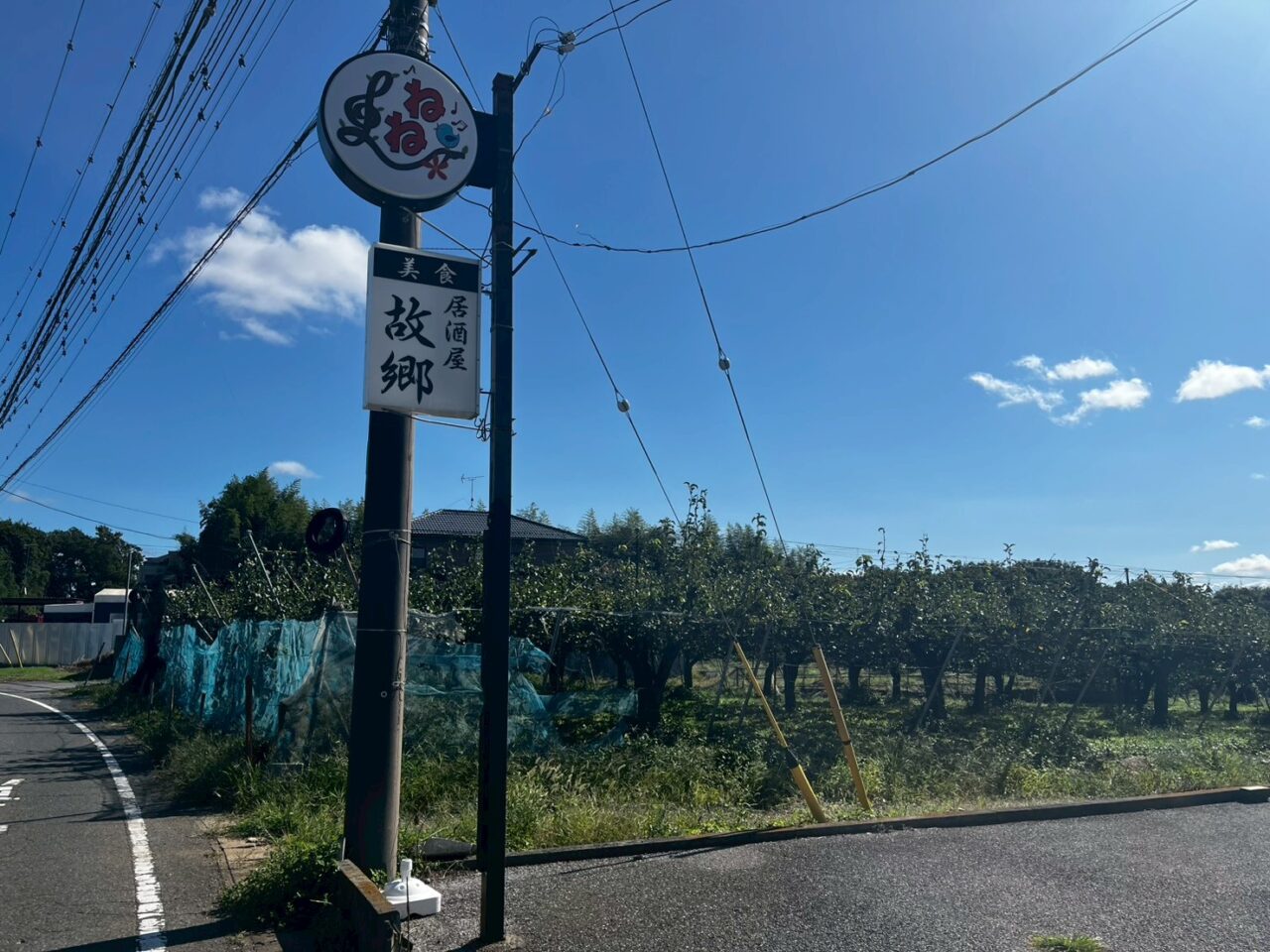 他のお店の看板