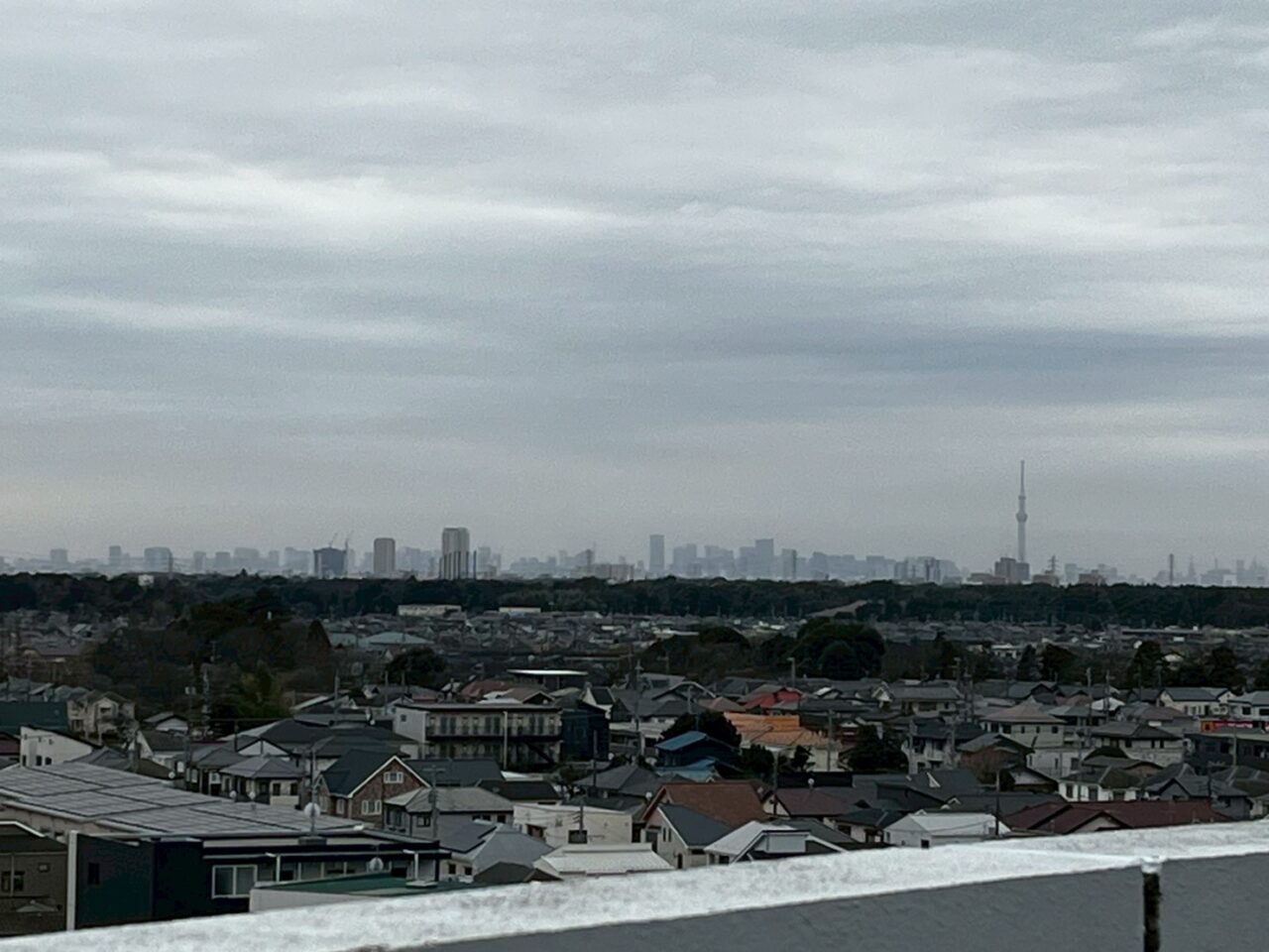 スカイツリーが見えます