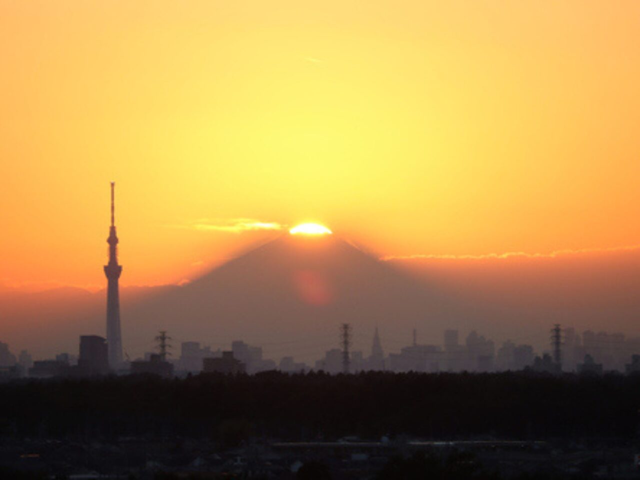 ダイヤモンド冨士