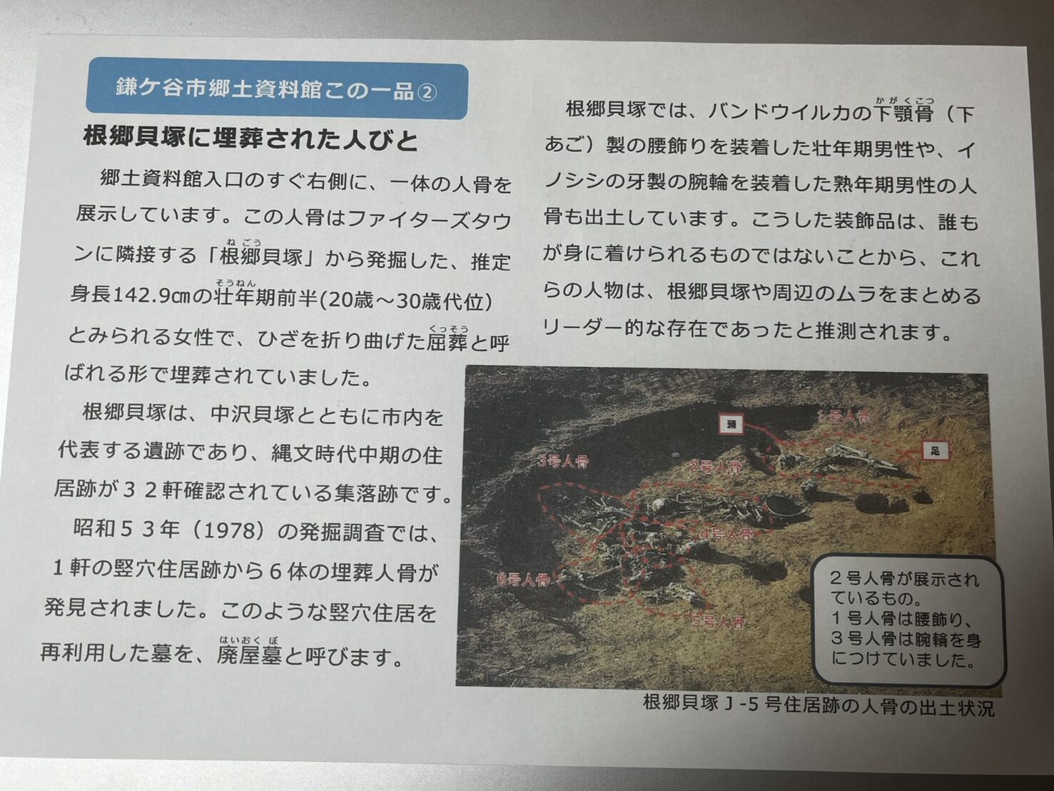 郷土資料館の配布資料