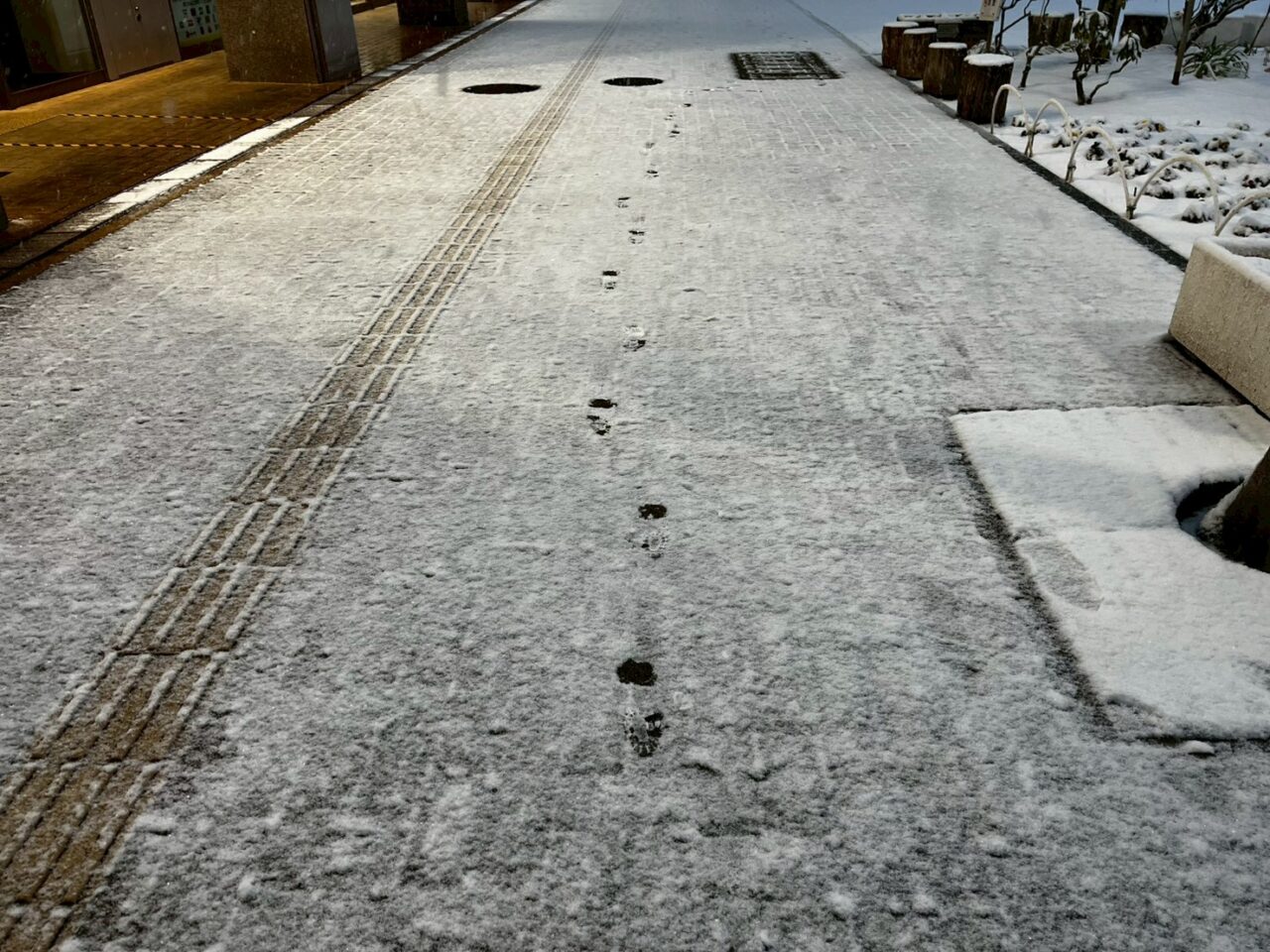 うっすら積もった雪につく足跡